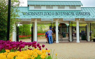 Cincinnati Zoo Pioneers Onsite Organic Waste Recycling