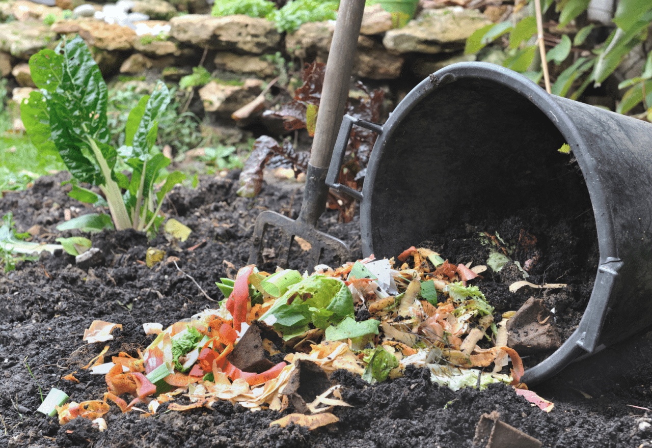 The Future of Composting: How Advanced Technology is Changing Waste ...
