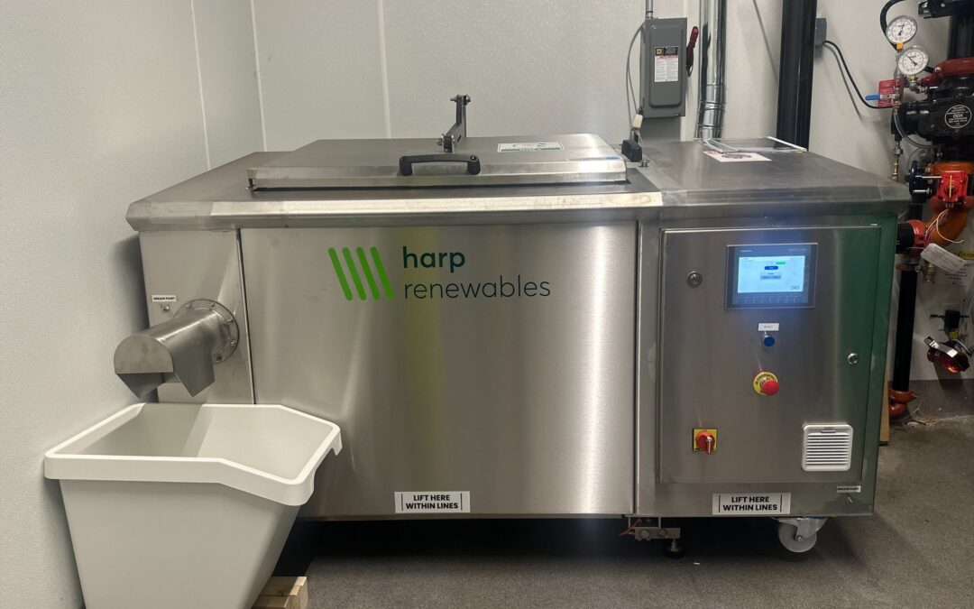 Innovative Solutions to Reduce Food Waste