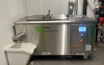 Innovative Solutions to Reduce Food Waste