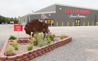 Red Plains Butchery Finds Value In Meat Processing Waste