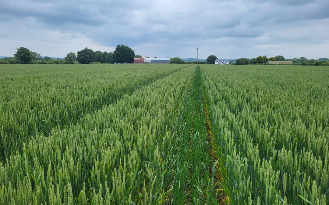 Circular Farming in Focus at Harp Farm Walk