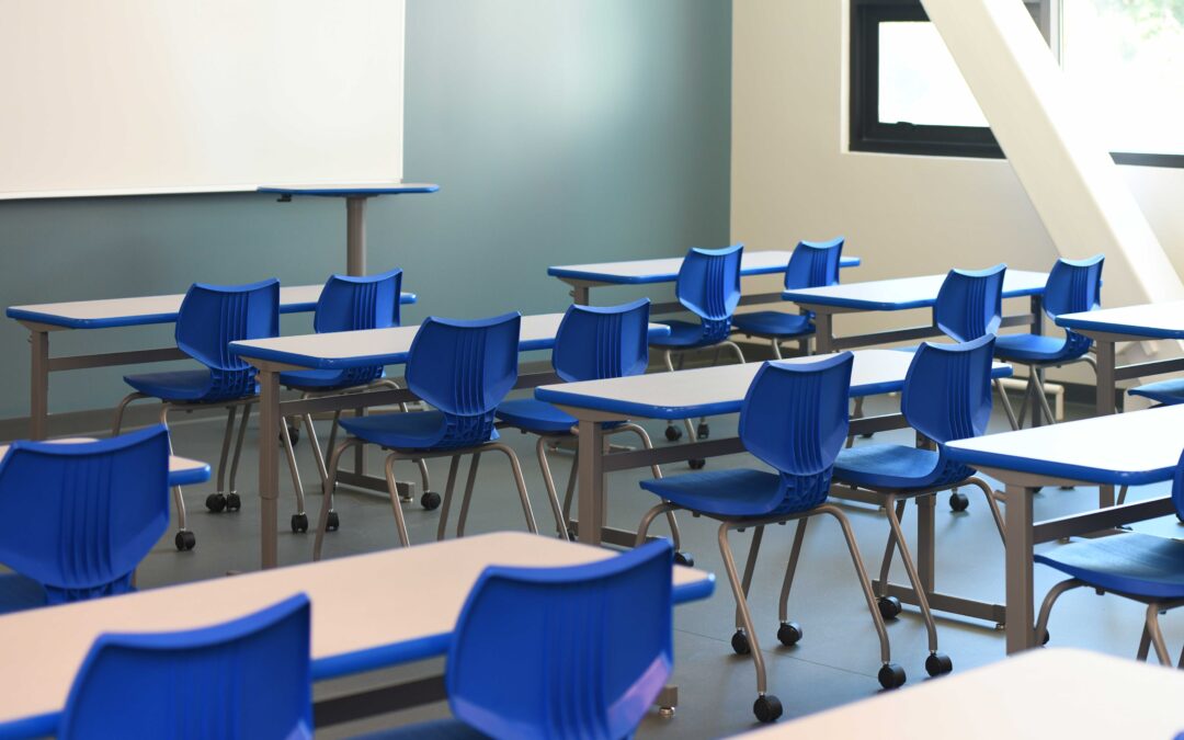 Empowering Schools: How the ESD Grant Supports Sustainability Projects