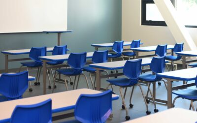 Empowering Schools: How the ESD Grant Supports Sustainability Projects