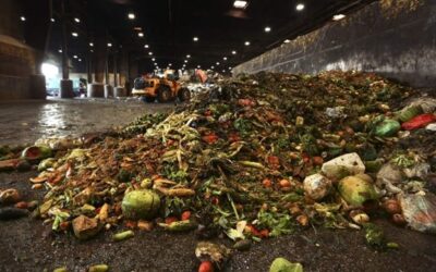 Why Food Waste has Become One of Europe’s Most Expensive Inefficiencies