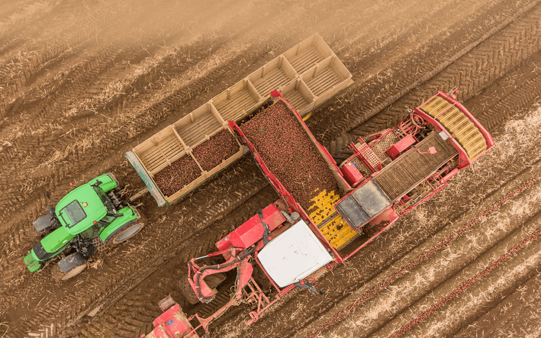 A Sustainable Approach to Farming at Finnegans Farm