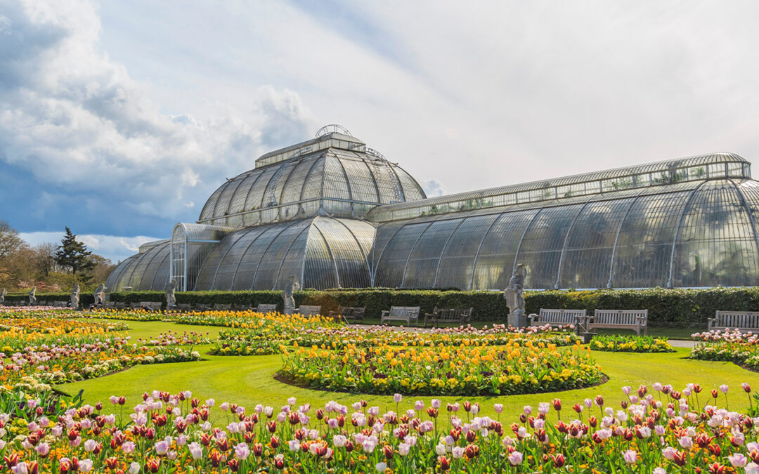 How Kew Gardens Innovation Makes Sustainability Bloom